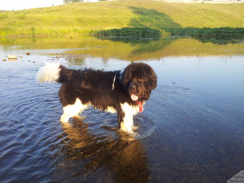 Фотография № 160517