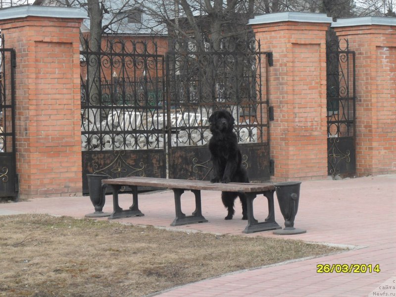 Фотография № 160518