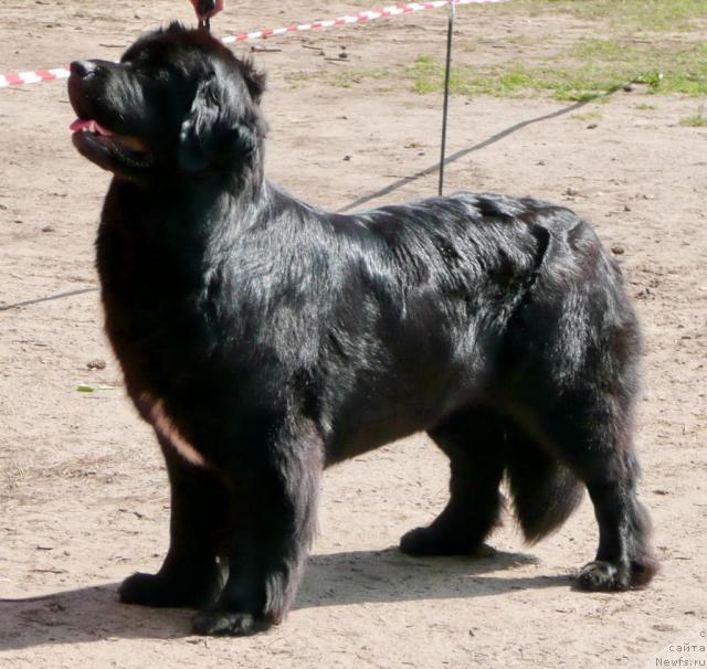 Фотография № 16054