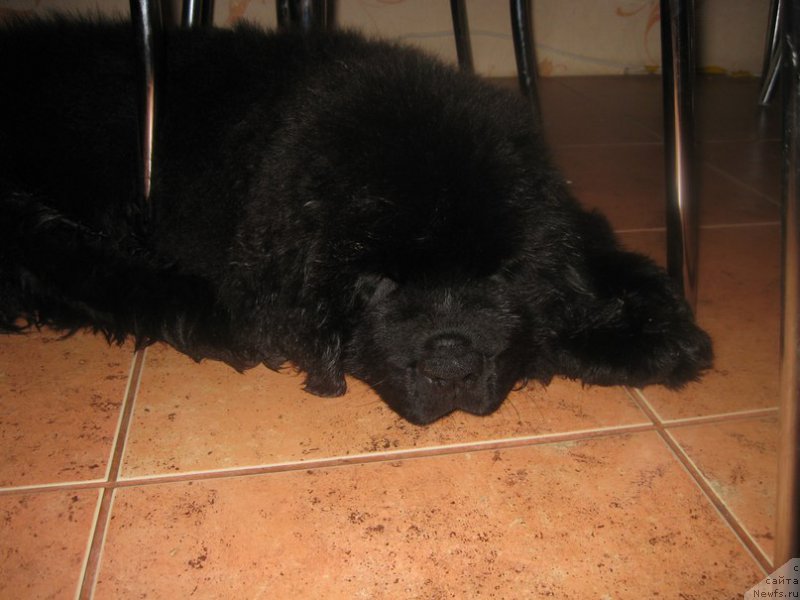 Фотография № 160553