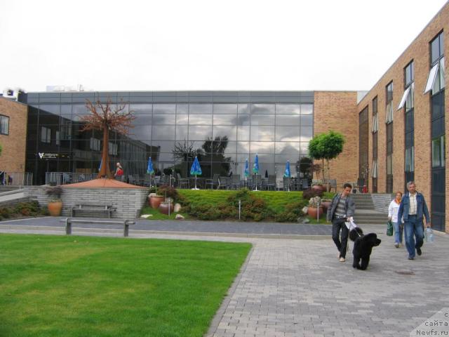 Фотография № 16056