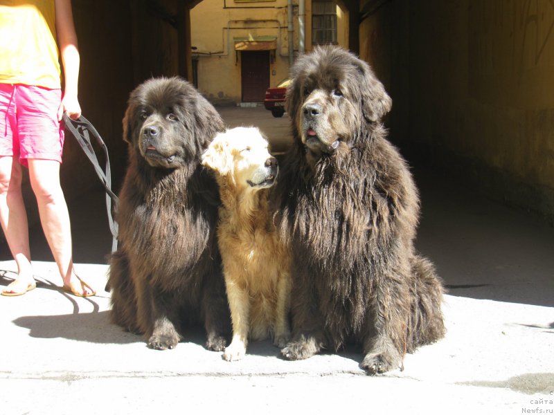 Фотография № 160601