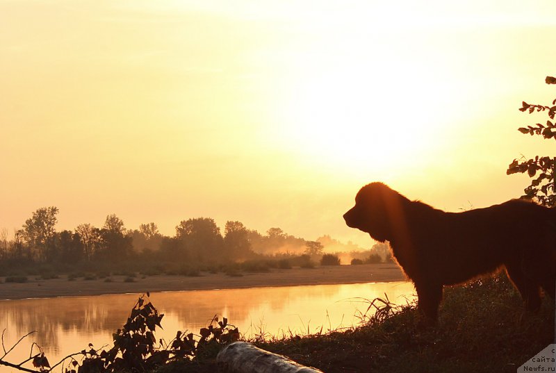 Фотография № 160602