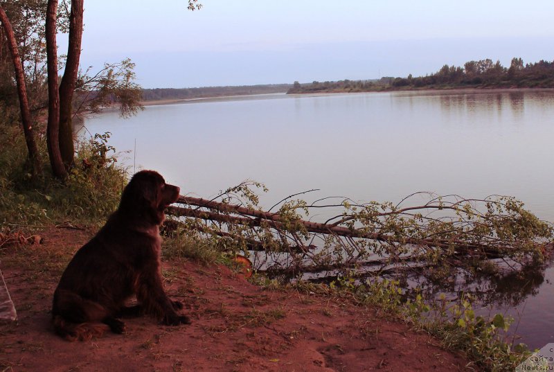 Фотография № 160603