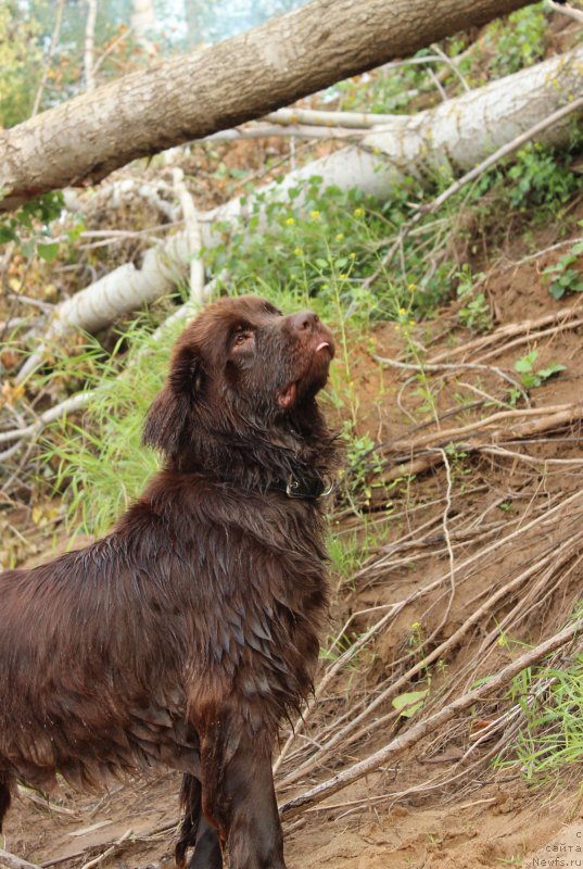 Фотография № 160606