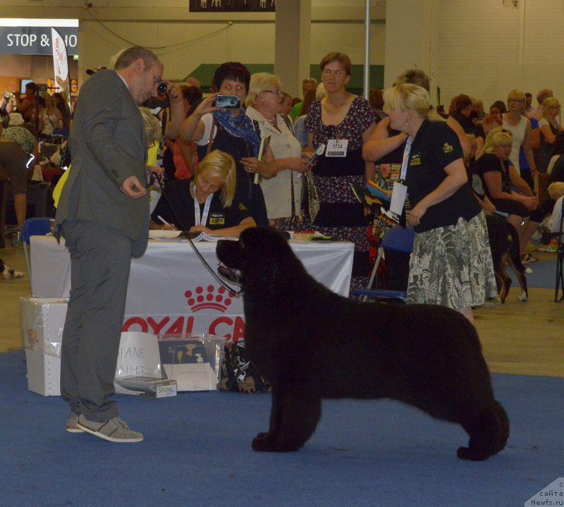 Фотография № 160607