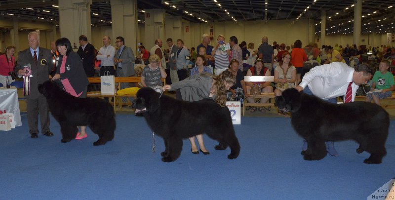 Фотография № 160614