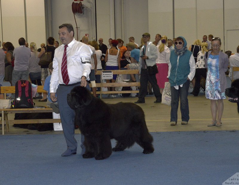 Фотография № 160615