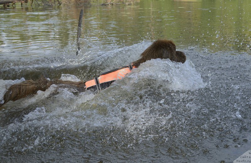 Фотография № 160619