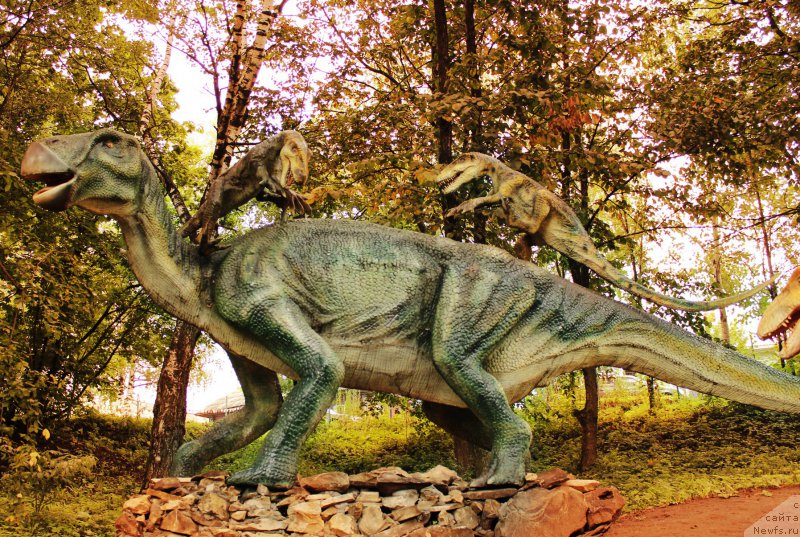 Фотография № 160651