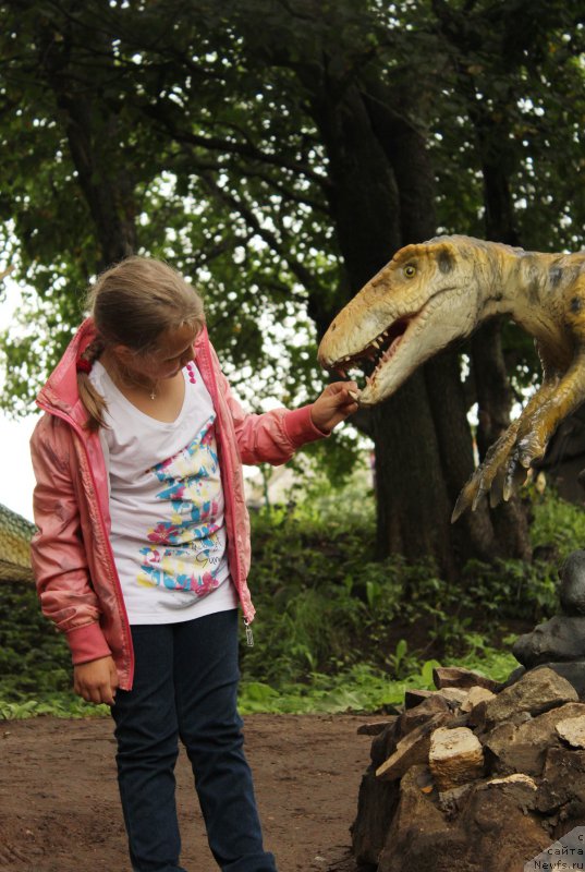 Фотография № 160652