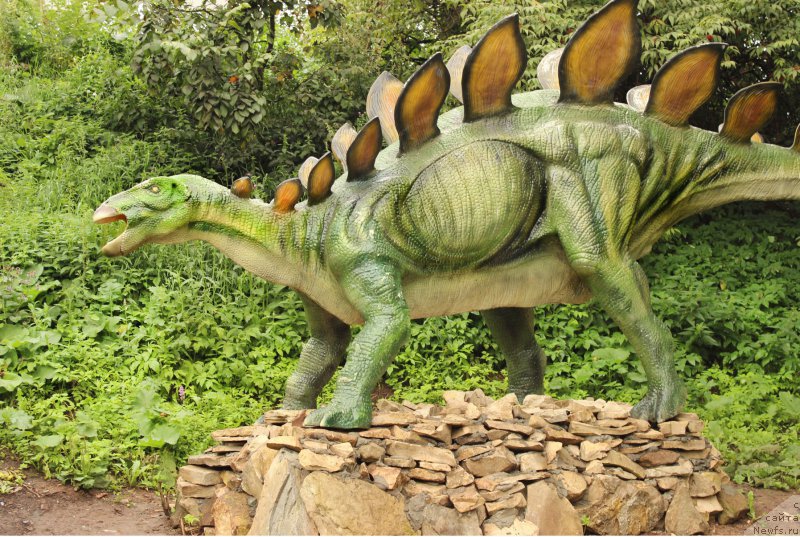 Фотография № 160653