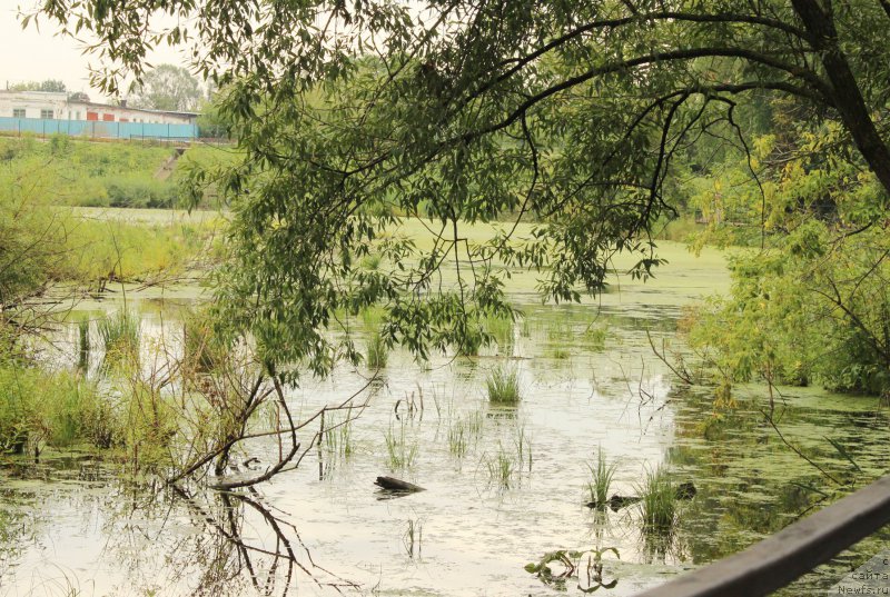 Фотография № 160656