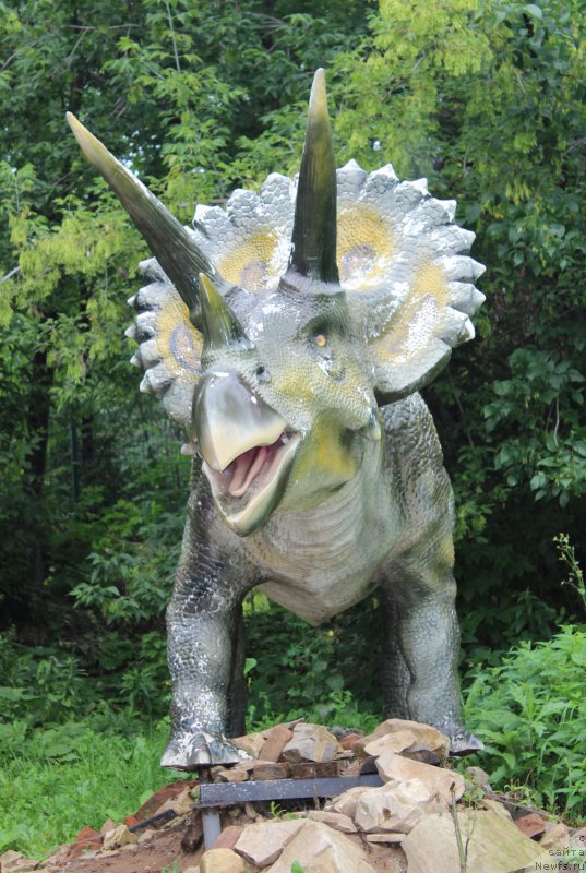 Фотография № 160658