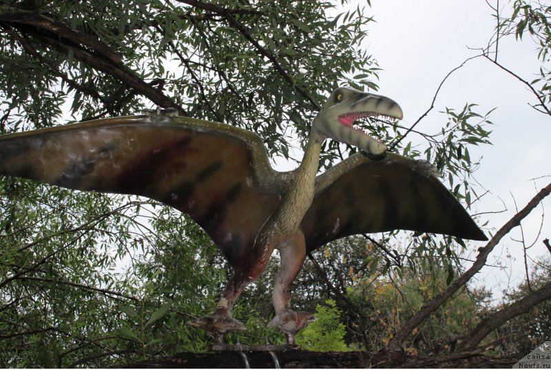 Фотография № 160663