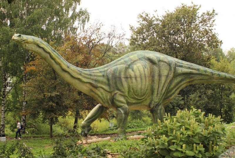 Фотография № 160664