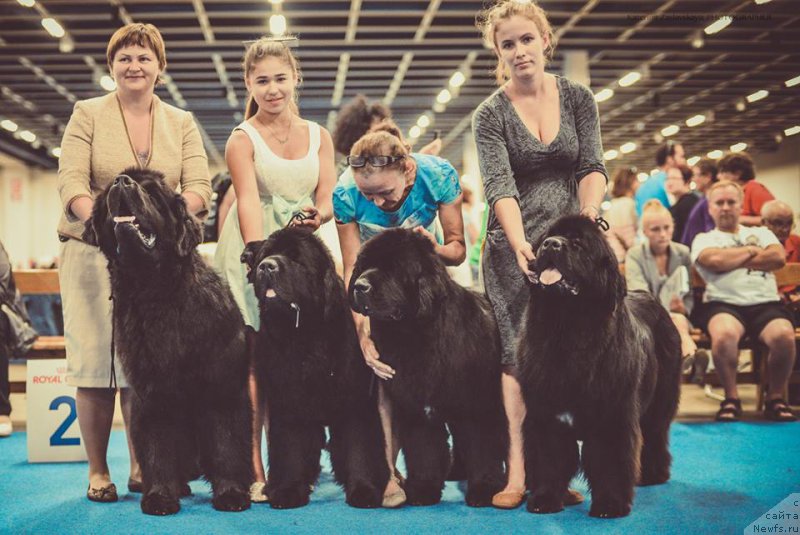 Фотография № 160680