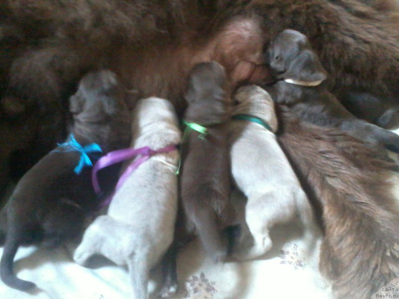 Фотография № 160683