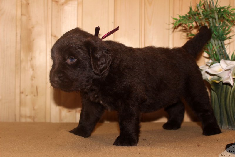 Фотография № 160698