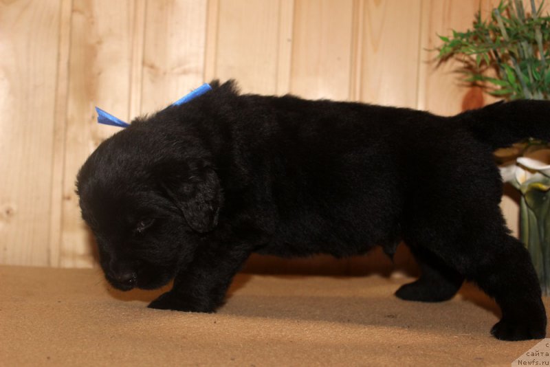 Фотография № 160706