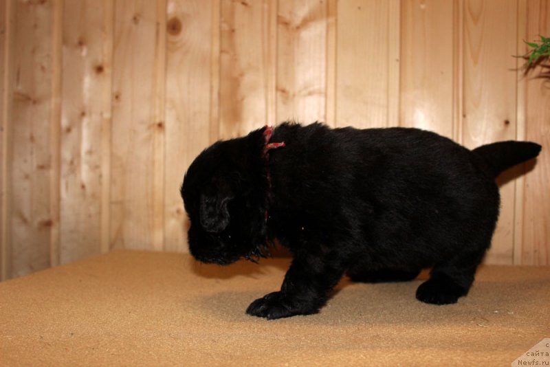 Фотография № 160716