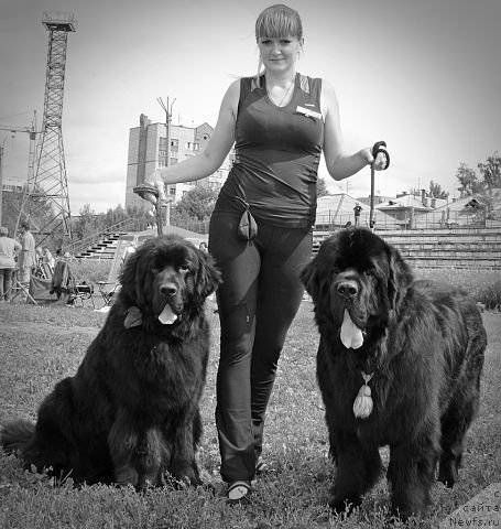 Фото: ньюфаундленд Rayout Happiness Midnight Bear, ньюфаундленд Beguschaya po Volnam Shaolin (Бегущая по Волнам Шаолинь), Ivan Tihanovich (Иван Тиханович)