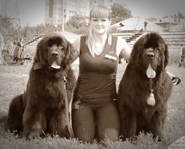 Фото: ньюфаундленд Rayout Happiness Midnight Bear, Ivan Tihanovich (Иван Тиханович), ньюфаундленд Beguschaya po Volnam Shaolin (Бегущая по Волнам Шаолинь)