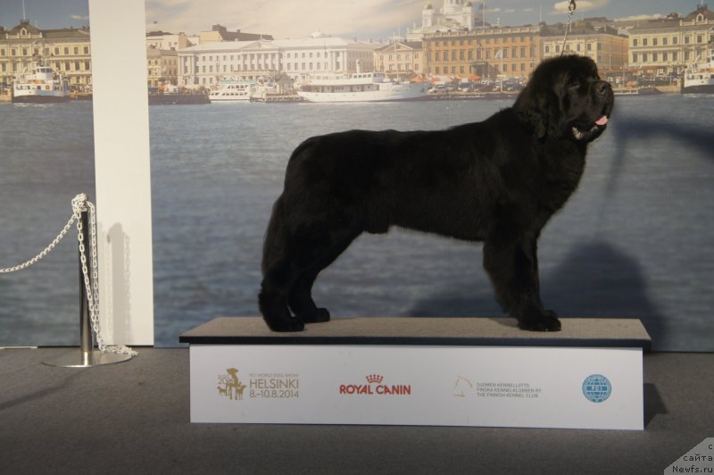 Фотография № 160755