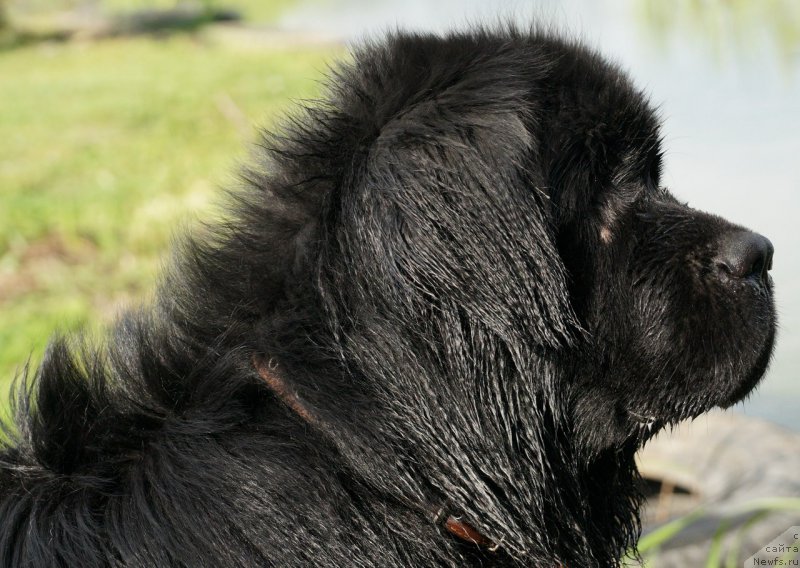 Фотография № 160760