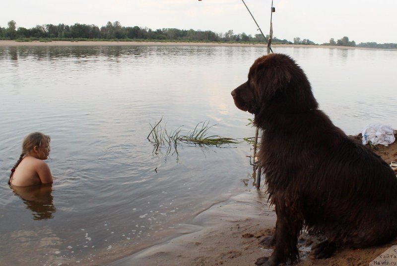 Фотография № 160770