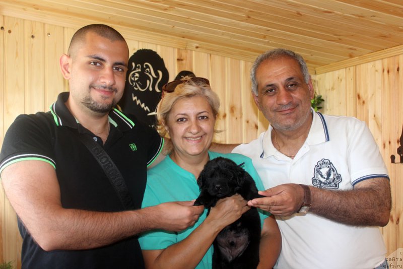 Фотография № 160791