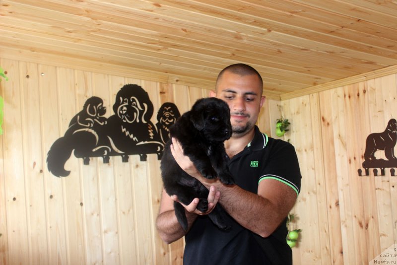 Фотография № 160792