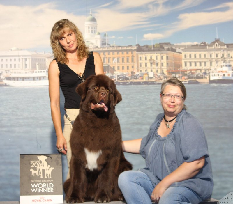 Фотография № 160797