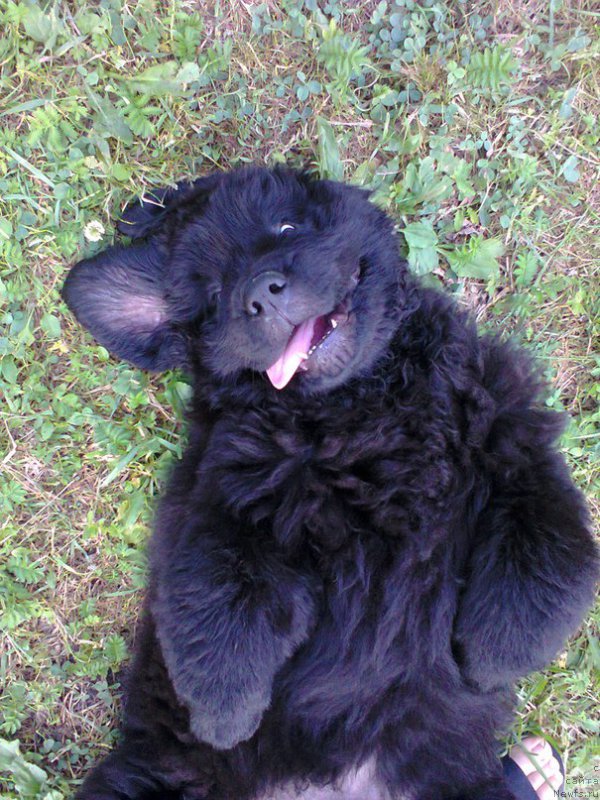 Фотография № 160805