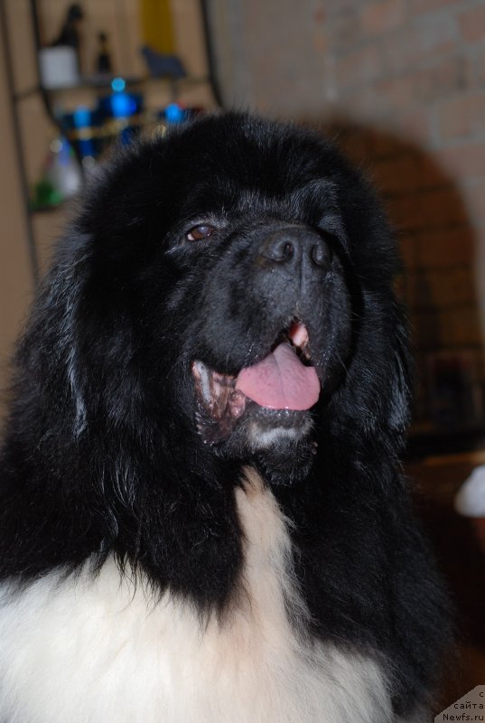 Фотография № 160813