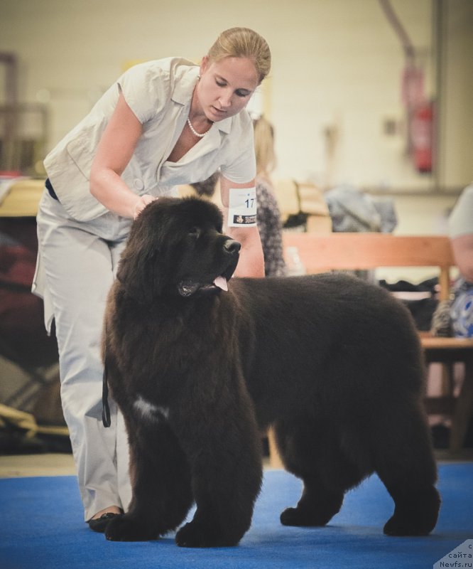 Фотография № 160818