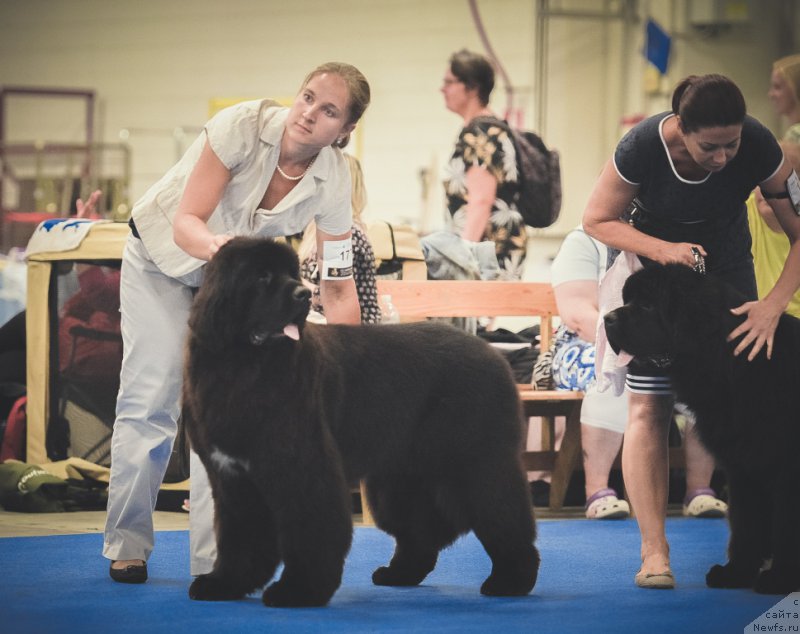 Фотография № 160819