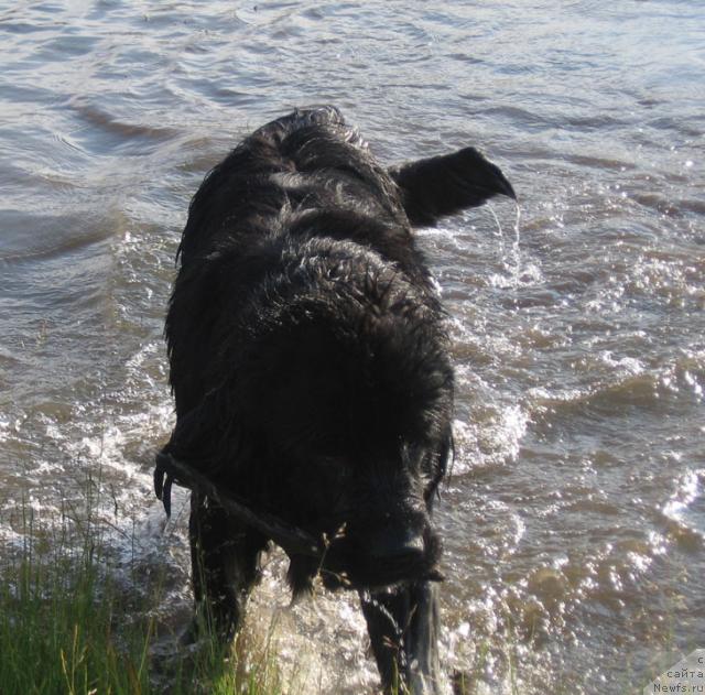 Фотография № 16083