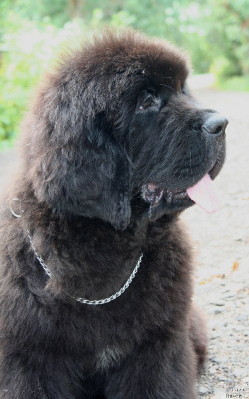 Фотография № 160865