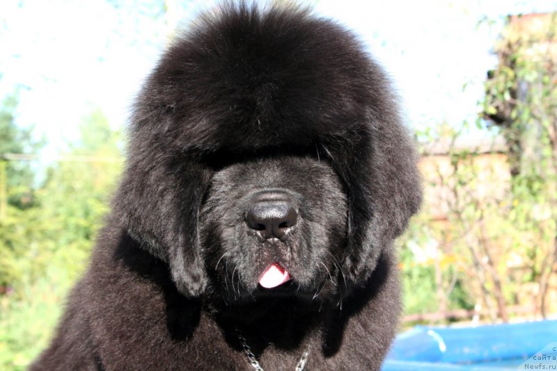 Фотография № 160872