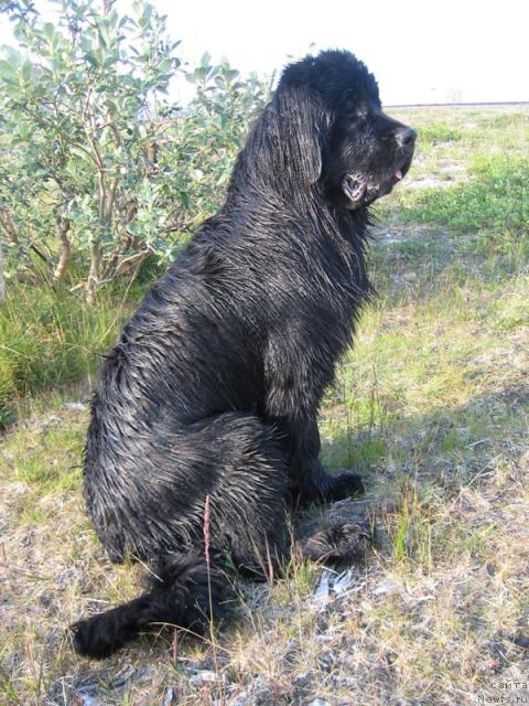 Фотография № 16089