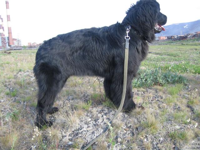 Фотография № 16090