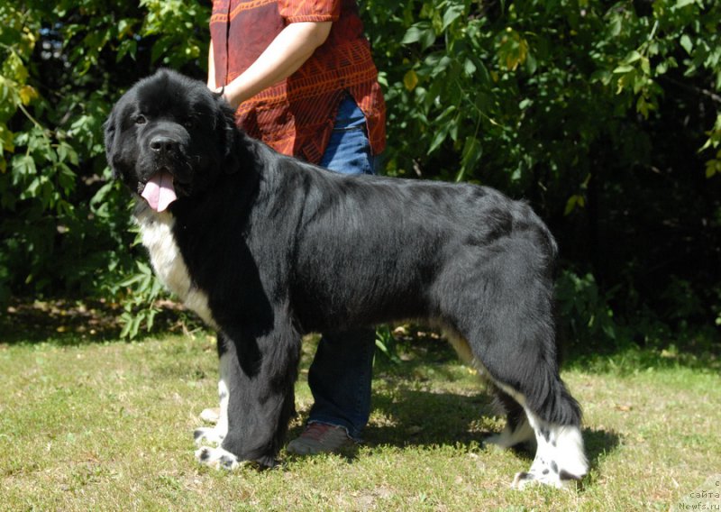 Фотография № 160902