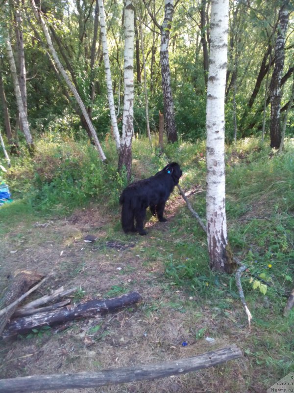 Фотография № 160915