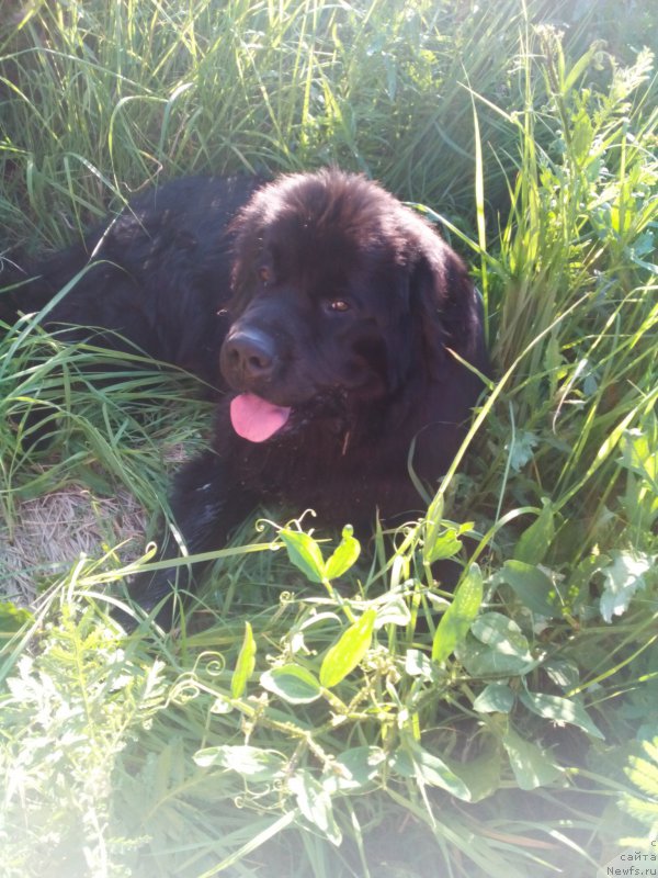 Фотография № 160916