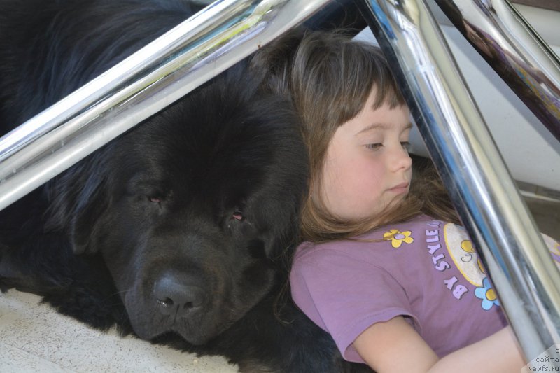 Фотография № 160928