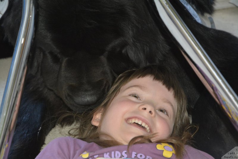 Фотография № 160929