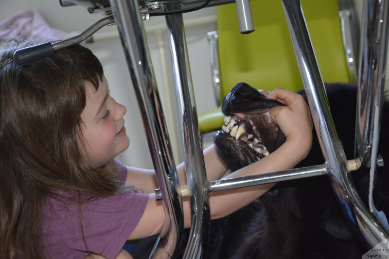 Фотография № 160930