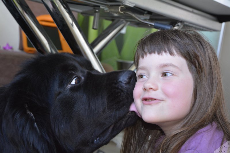 Фотография № 160932