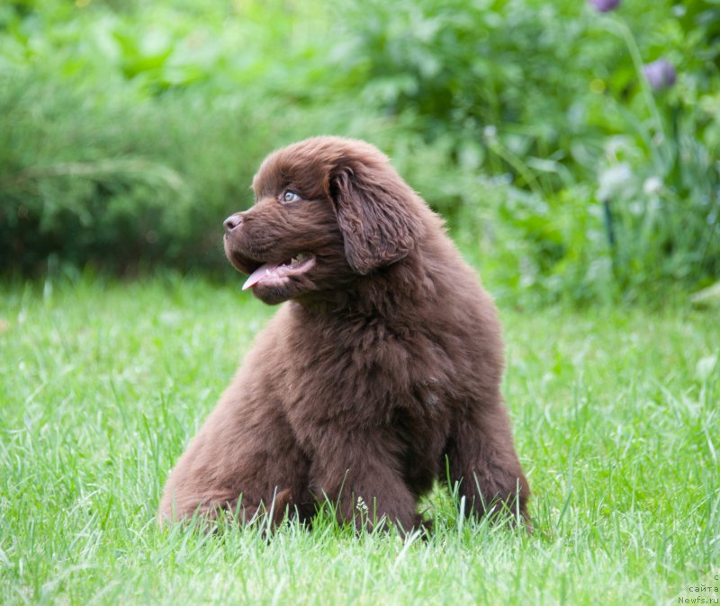 Фотография № 160933